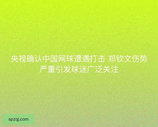 央视确认中国网球遭遇打击 郑钦文伤势严重引发球迷广泛关注